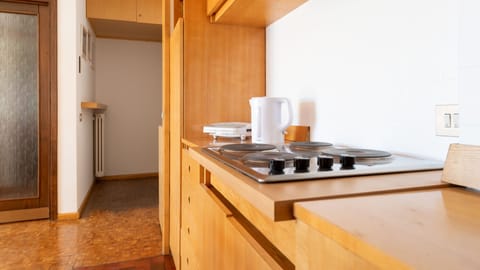 Apartment (1 Bedroom) | Private kitchenette | Fridge, microwave, stovetop, electric kettle