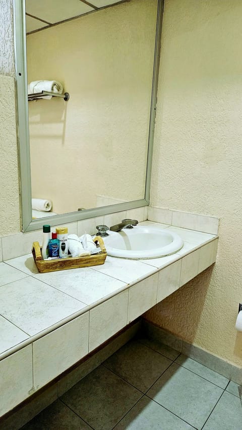 Elite Room | Bathroom | Towels, soap, shampoo, toilet paper