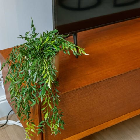 Apartment | 1 bedroom, Internet