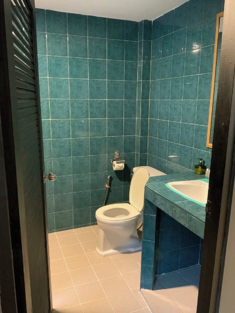 Classic Double or Twin Room, City View | Bathroom | Shower, hair dryer, towels, soap