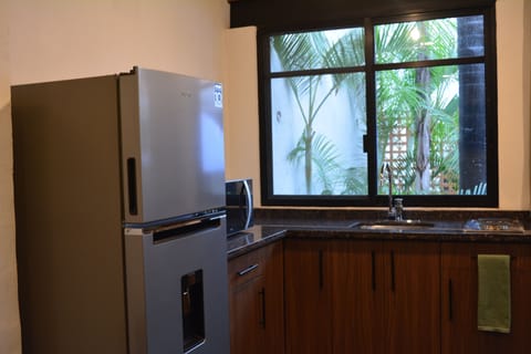 Deluxe Apartment | Private kitchen | Fridge, coffee/tea maker, cookware/dishes/utensils