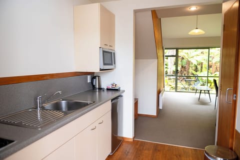 One Bedroom Loft Apartment | Private kitchenette | Mini-fridge, microwave, stovetop, electric kettle