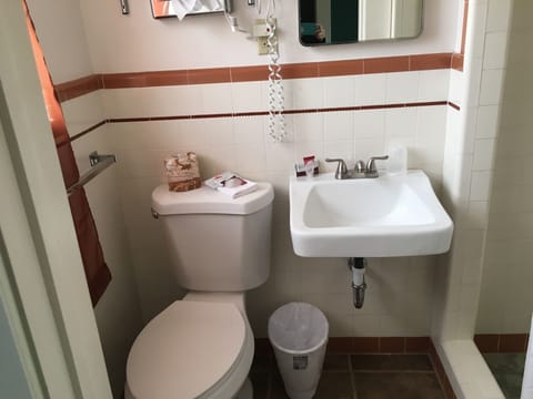 Combined shower/tub, free toiletries, hair dryer, towels