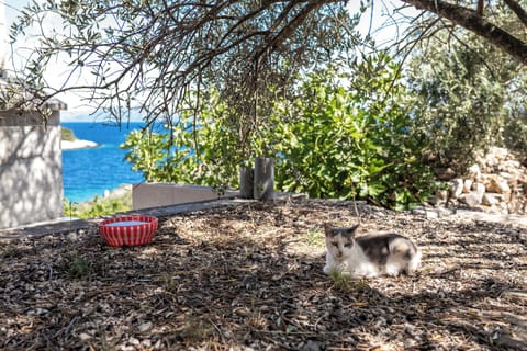 House (Three Bedroom Holiday Home with Terra) | Garden