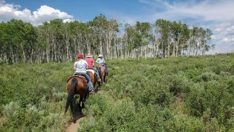 Horseback riding