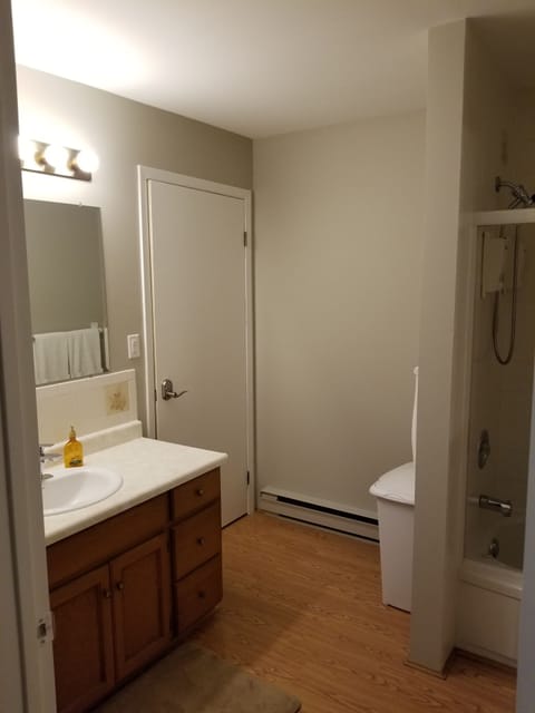 Room, 1 Queen Bed, Lake View | Bathroom | Free toiletries, hair dryer, towels