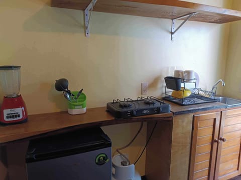 Traditional Studio | Private kitchen | Fridge, blender, cookware/dishes/utensils