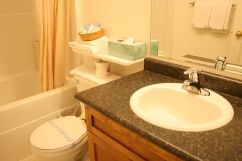 Combined shower/tub, free toiletries, hair dryer, towels