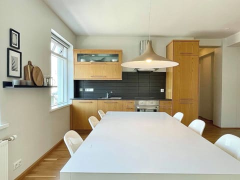 Standard Apartment, City View | Private kitchen | Fridge, microwave, oven, stovetop