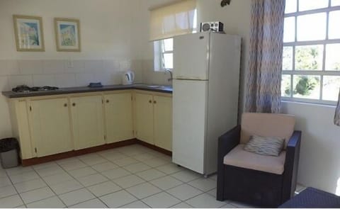 Basic Apartment, 1 Bedroom | Private kitchen | Fridge, microwave, stovetop, coffee/tea maker