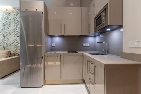 Panoramic Apartment, 2 Bedrooms | Private kitchen | Fridge, microwave, stovetop, coffee/tea maker