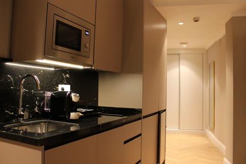 Standard Studio | Private kitchen | Fridge, microwave, stovetop, dishwasher