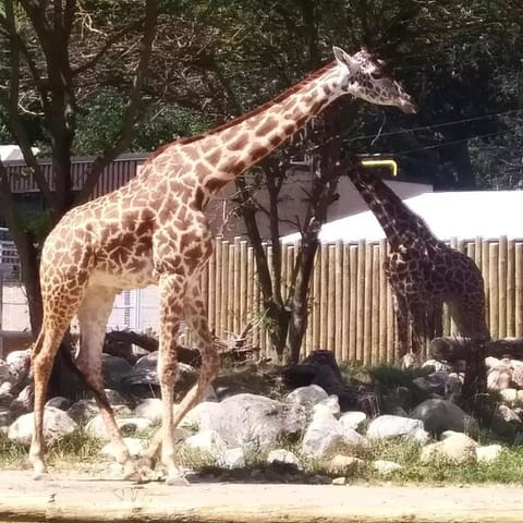 House | 3 bedrooms, Internet