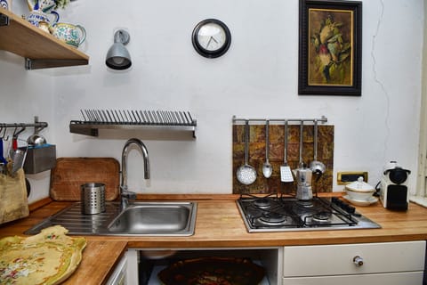 Apartment, Lake View | Private kitchen | Fridge, microwave, stovetop, dishwasher