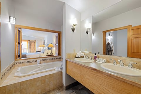 Spring Suite | Bathroom | Separate tub and shower, jetted tub, hair dryer, bathrobes