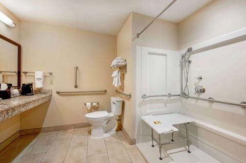 Standard Room, 1 King Bed, Accessible, Refrigerator & Microwave | Bathroom | Free toiletries, hair dryer, towels, soap