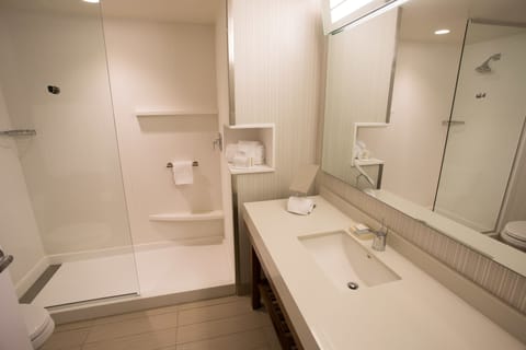 Room, 1 King Bed with Sofa bed | Bathroom | Shower, free toiletries, hair dryer, towels