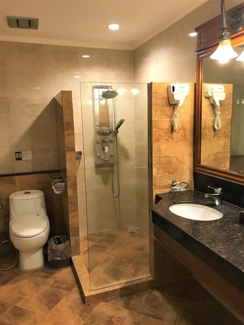 Penthouse, 1 King Bed, Jetted Tub | Bathroom shower