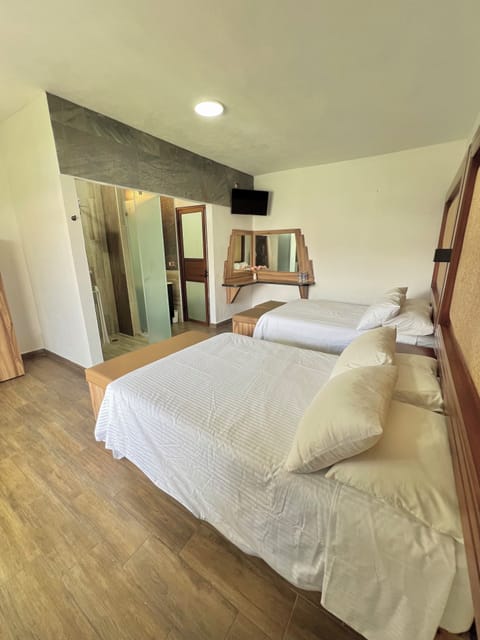 Basic Quadruple Room, Garden View