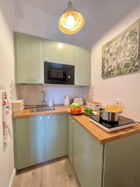 Family Apartment, 1 Double Bed with Sofa bed, Non Smoking, Private Bathroom | Private kitchen | Fridge, microwave, stovetop, toaster
