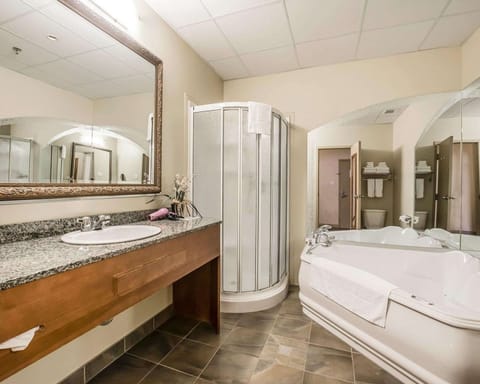 Combined shower/tub, free toiletries, hair dryer, towels