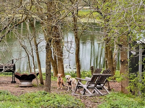 BBQ/picnic area