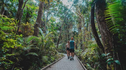 Hiking