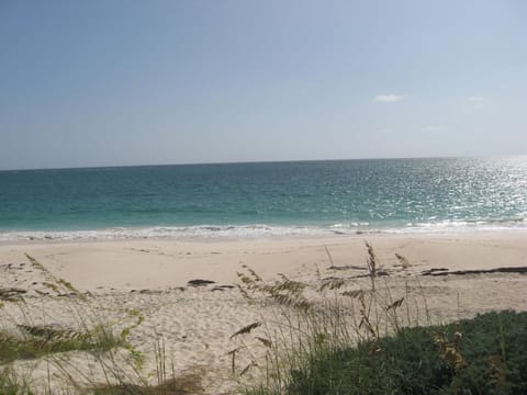 On the beach