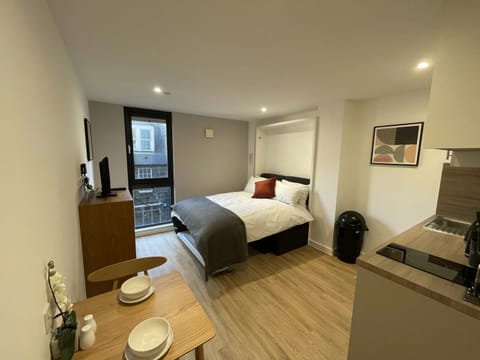 Deluxe Studio | Blackout drapes, iron/ironing board, free WiFi, bed sheets