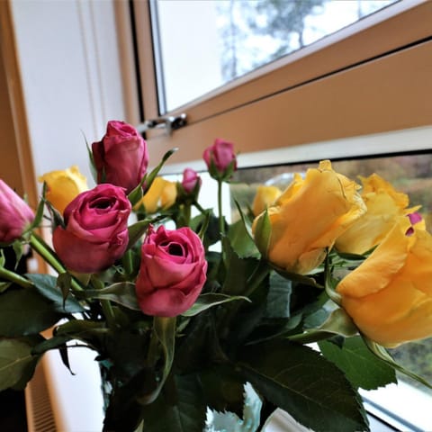 Apartment | 3 bedrooms