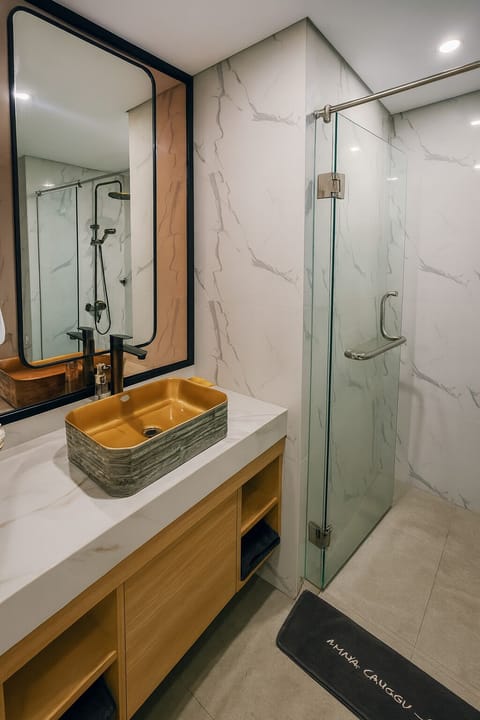 Shower, hydromassage showerhead, free toiletries, hair dryer