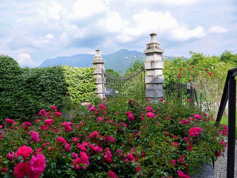 4 bedrooms, premium bedding, down comforters, iron/ironing board