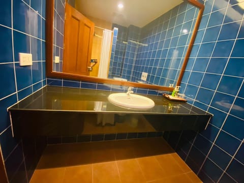 Shower, free toiletries, bidet, towels