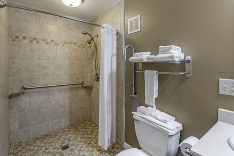 Combined shower/tub, free toiletries, hair dryer, towels