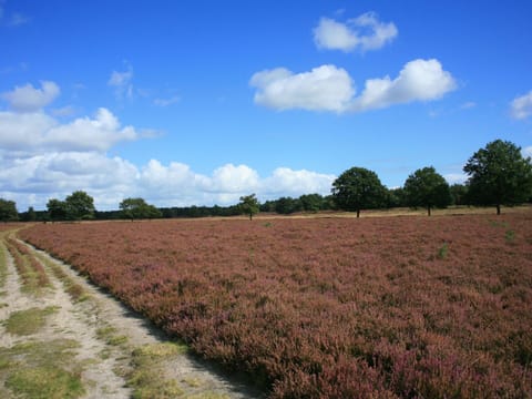 Chalet | View from property