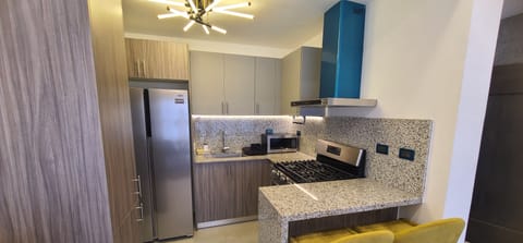 Exclusive Apartment | Private kitchen | Fridge, microwave, oven, stovetop