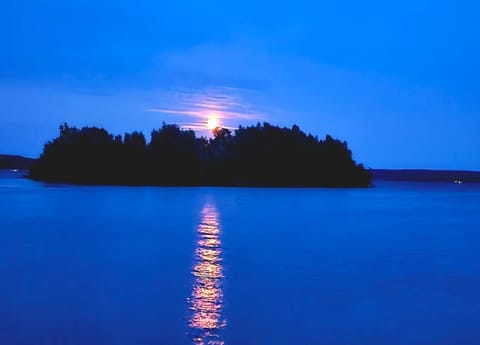 House | View from property