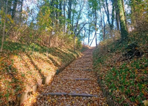 Apartment | View from property