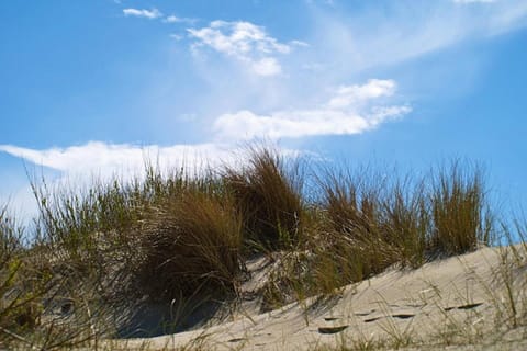 House | Miscellaneous