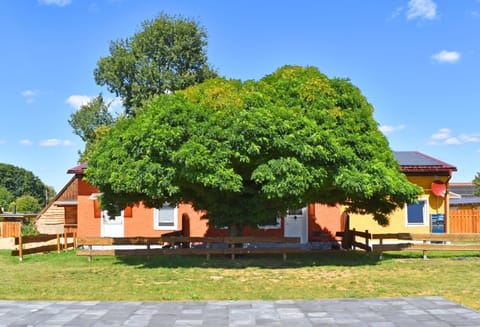 Apartment | Exterior