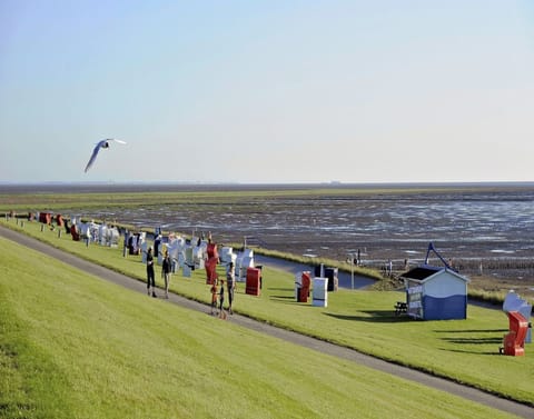 Apartment | View from property