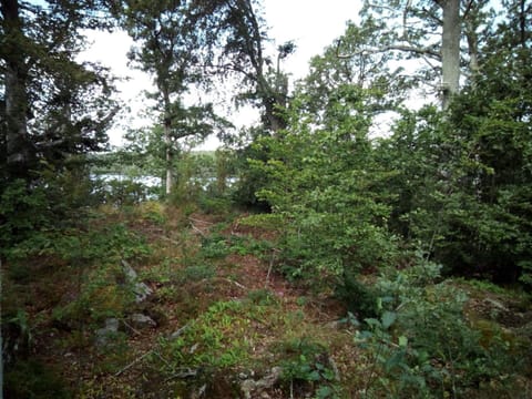 House | Miscellaneous