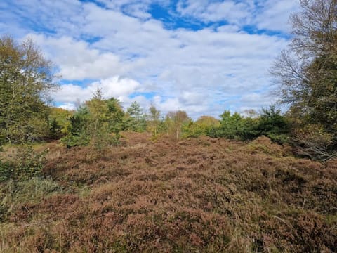 House | Miscellaneous