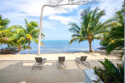 Apartment | 2 bedrooms, Internet