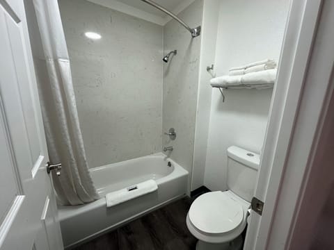 Bathtub, towels, soap, shampoo