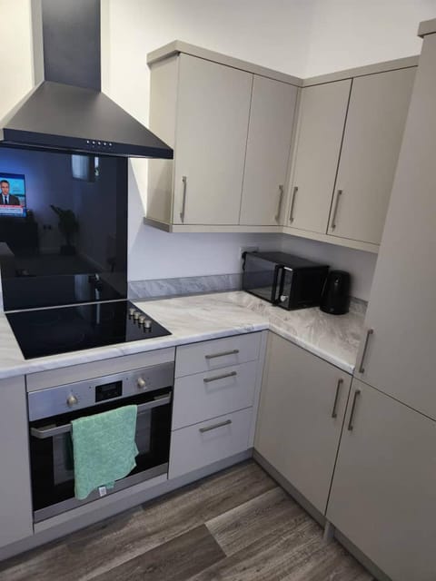 Apartment | Private kitchen | Fridge, microwave, oven, stovetop