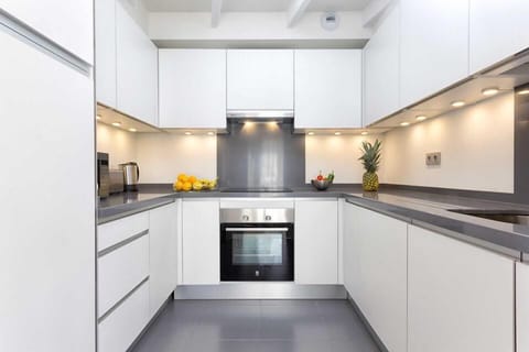 Luxury Apartment | Private kitchen | Full-size fridge, microwave, oven, stovetop