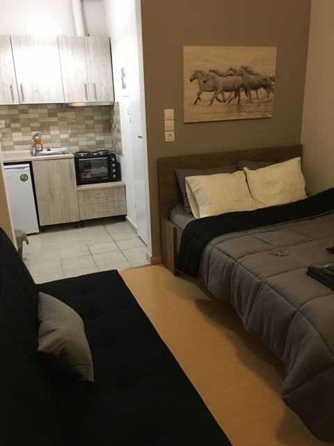 Apartment, 1 Bedroom, City View | 1 bedroom