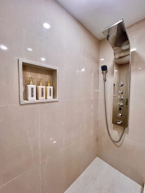 Shower, hydromassage showerhead, hair dryer, towels