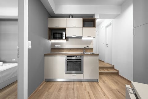 Standard Apartment | Private kitchen